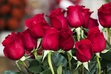 Imágenes de rosas rojas para regalar